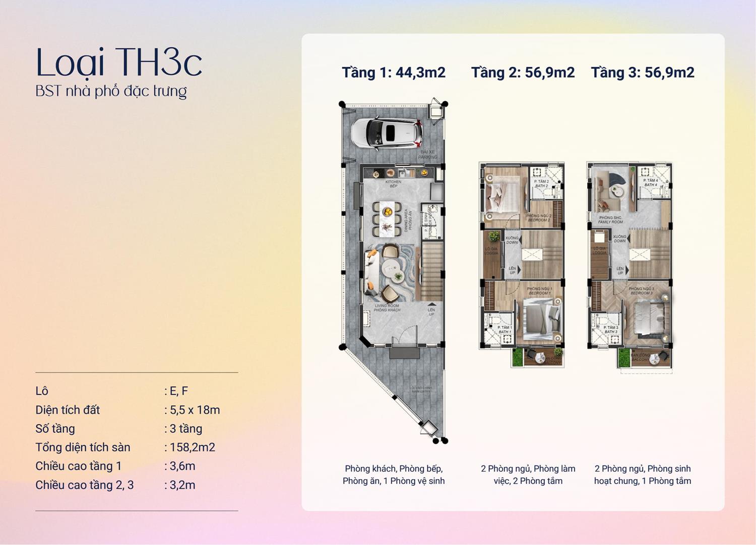03185432-nha-pho-springville-gamuda-land-nhon-trach-2-5